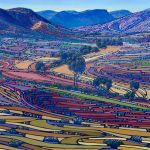 Australian Eye - Abstract Landscape Art