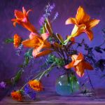 Still Life Studio - Colourful Indoor Art