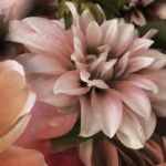 Shadow Blooms - Moody Floral Art