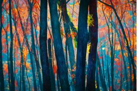 Blaze - Artwork from Printism