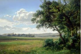 Looking out to Grassy Field