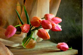 Composition with Tulips