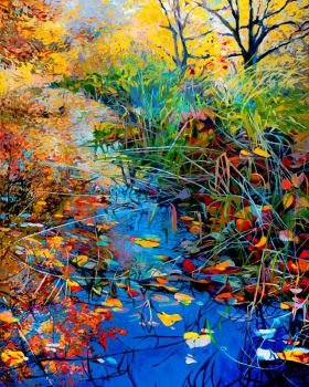 Little Forest Stream