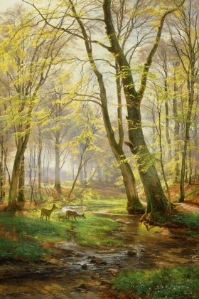 Deer Drinking at the Stream