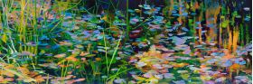 Waterlilies