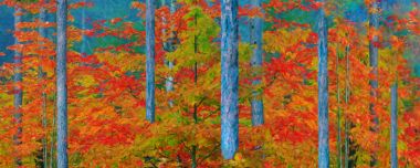 Forest Stand - Artwork from Printism