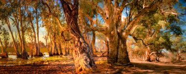 Welcome Shade - Artwork from Printism