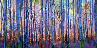 Forest view of young tree trunks in blue shaded light