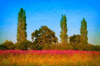 Summer Grassy Meadow - Artwork from Printism