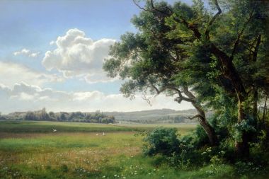 Looking out to Grassy Field