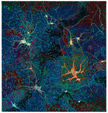 Neurons